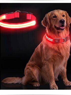 LED Dog Collar Light Up USB Rechargeable Glowing Pet Safety Night Small Red S